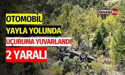 Otomobil yayla yolunda uçuruma yuvarlandı: 2 yaralı