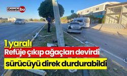 Refüje çıkıp ağaçları devirdi, sürücüyü direk durdurabildi