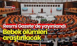 Resmi Gazete’de yayınlandı: Bebek ölümleri araştırılacak