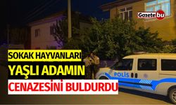 Sokak hayvanları, yaşlı adamın cenazesini buldurdu