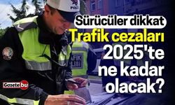 Sürücüler dikkat! Trafik Cezaları 2025'te Ne Kadar Olacak?