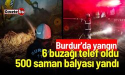 Burdur'da yangın: 6 buzağı telef oldu, 500 saman balyası yandı