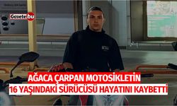 Ağaca Çarpan Motosikletin 16 Yaşındaki Sürücüsü Hayatını Kaybetti