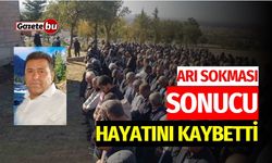 Arı Sokması Sonucu Hayatını Kaybetti