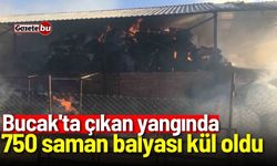 Bucak'ta çıkan yangında 750 saman balyası kül oldu