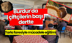 Burdur'da çiftçilerin başı dertte: Tarla faresiyle mücadele eğitimi