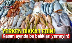 Yerken dikkat edin! Kasım ayında bu balıkları yemeyin...