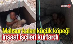 Mahsur kalan küçük köpeği inşaat işçileri kurtardı