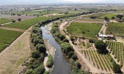 Organize Sanayi Bölgeleri Gediz Nehri'ni Kirletiyor