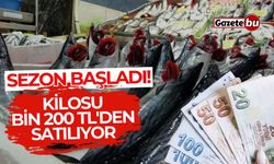 Sezon başladı! Kilosu bin 200 TL'den satılıyor