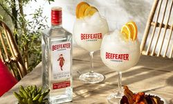 Beefeater Cin fiyatları ne kadar? Güncel Cin fiyatları 2024