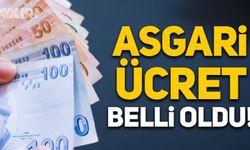 Asgari ücret açıklandı, asgari ücret ne kadar?