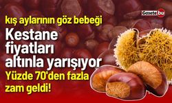 Yüzde 70'den fazla zam geldi! Kestane fiyatları altınla yarışıyor