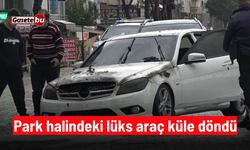 Park halindeki lüks araç küle döndü