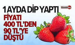 1 ayda dip yaptı: Fiyatı 400 TL’den 90 TL’ye düştü