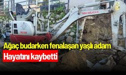 Ağaç budarken fenalaşan yaşlı adam hayatını kaybetti