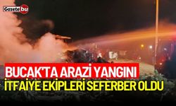 Bucak'ta arazi yangını: İtfaiye ekipleri seferber oldu