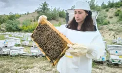 Belediye arıcılara ekipman desteği verecek: Başvurular başladı