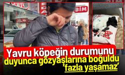 Yavru köpeğin durumunu duyunca gözyaşlarına boğuldu