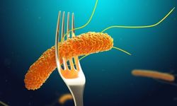 Salmonella nedir, nasıl bulaşır ve belirtileri nelerdir?