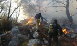 Antalya’da kopan yüksek gerilim hattı koptu: Yangın çıktı!