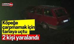 Köpeğe çarpmamak için tarlaya uçtu: 2 kişi yaralandı