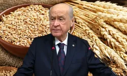 Devlet Bahçeli'den yeni hamle! Askıda 9 Gülek Buğday projesi