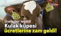 Hayvan kulak küpesi ücretlerine zam geldi! Üreticiler tepkili!