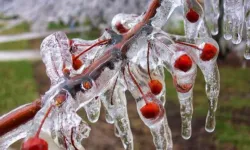 Uşaklılar dikkat! Meteorolojiden peş peşe uyarı