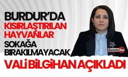 Burdur'da kısırlaştırılan hayvanlar sokağa bırakılmayacak!