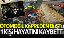 Otomobil köprüden düştü: 1 kişi hayatını kaybetti