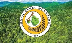 OGM personel alımı başvuru şartları neler? OGM başvuru ekranı...