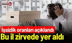 İşsizlik oranları açıklandı! Bu İl zirvede yer aldı