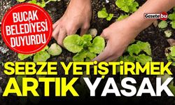 Bucak Belediyesi duyurdu: Sebze yetiştirmek artık yasak