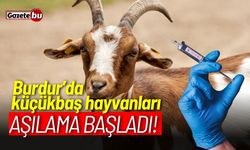 Burdur’da küçükbaş hayvanları aşılama başladı!