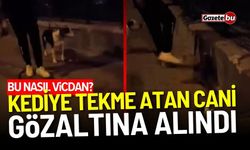 Kediye tekme atan cani gözaltına alındı