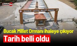 Bucak Millet Ormanı ihaleye çıkıyor: Tarih belli oldu