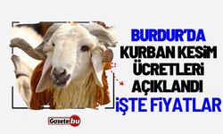Burdur'da kurban kesim ücretleri açıklandı! İşte fiyatlar