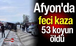 Afyon'da feci kaza: 53 koyun öldü