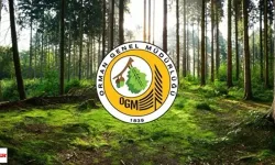 Orman Genel Müdürlüğü 63 geçici işçi alımı yapacak! Başvurular ne zaman?
