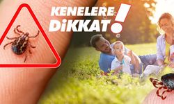 Havalar ısınıyor! Kenelere dikkat