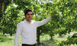 Denizli'de kiraz üreticisine devlet desteği