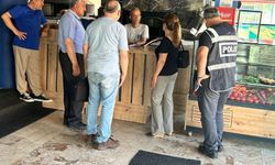 Tütün kullanımına izin veren 4 işletmeye para cezası