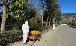 Alanya’da yeşil alanlarda zirai mücadele