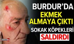 Burdur'da ekmek almaya çıktı: Sokak köpekleri saldırdı