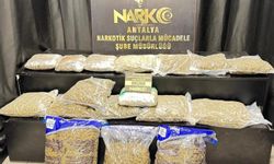 Antalya'da 21,5 kilo skunk ele geçirildi