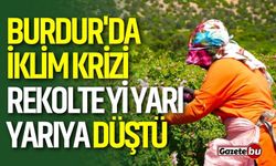 Burdur'da İklim Krizi Gül Üretimini Vurdu