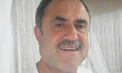 Çay bahçesinde dehşet: Zehirli yılan adamı ısırdı