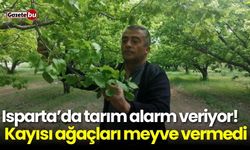 Isparta’da tarım alarm veriyor! Kayısı ağaçları meyve vermedi