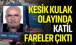 Yaşlı çiftçinin kulağı ve yüzünü farelerin yemiş!